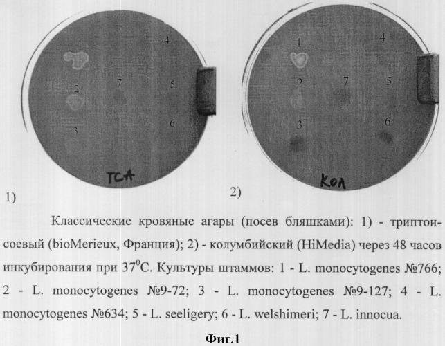 Среда для определения гемолитической активности культур рода listeria (патент 2318022)