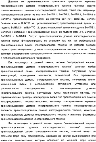 Способы лечения мочеполовых-неврологических расстройств с использованием модифицированных клостридиальных токсинов (патент 2491086)