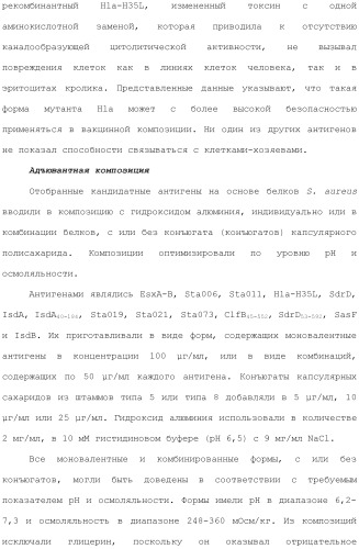 Композиции для иммунизации против staphylococcus aureus (патент 2508126)