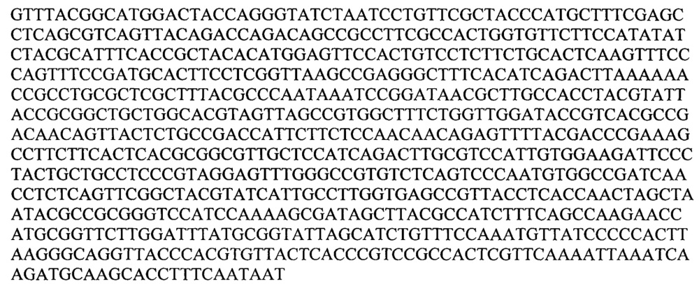 Штаммы lactobacillus brevis и lactobacillus rhamnosus с установленной последовательностью генома, синтезирующие глутатион и комплекс внутриклеточных антиоксидантов (патент 2617946)