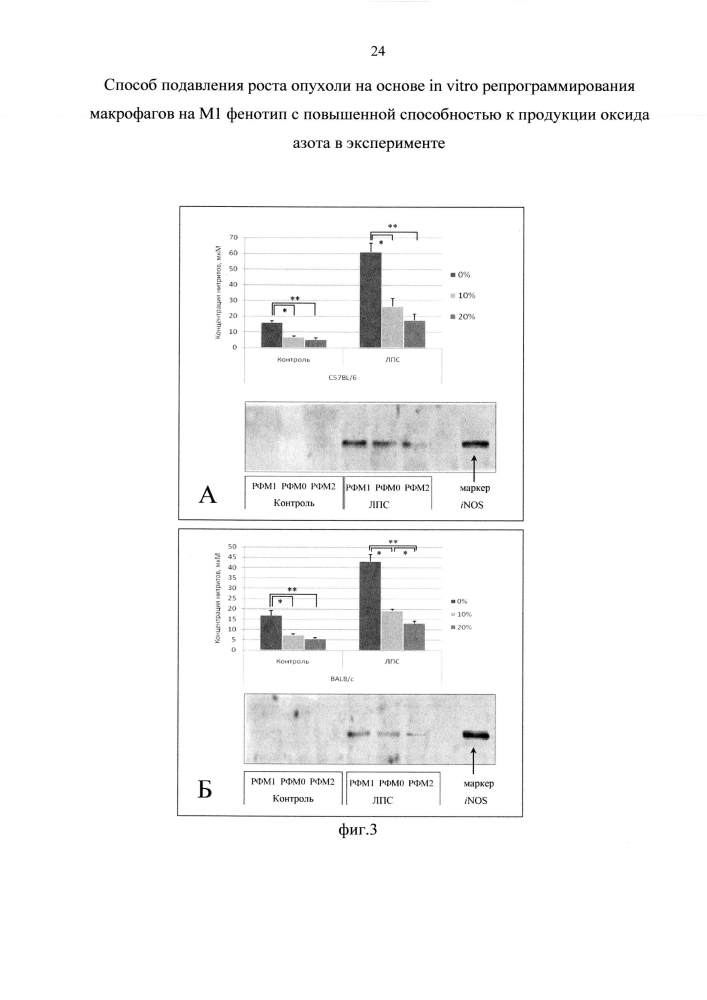 Способ подавления роста опухоли основе in vitro репрограммирования макрофагов на м1 фенотип с повышенной способностью к продукции оксида азота в эксперименте (патент 2599545)