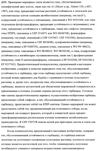 Способ избирательного получения растений с мужской или женской стерильностью (патент 2320722)