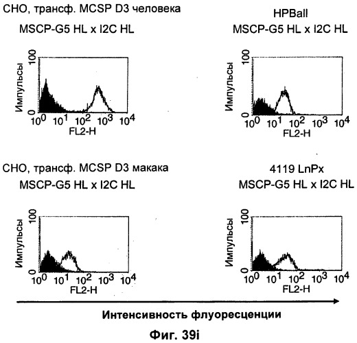 Pscaxcd3, cd19xcd3, c-metxcd3, эндосиалинxcd3, epcamxcd3, igf-1rxcd3 или fap-альфаxcd3 биспецифическое одноцепочечное антитело с межвидовой специфичностью (патент 2547600)