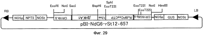Метаболизирующий гербицид белок, его ген и их применение (патент 2532104)