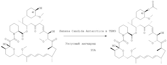 Региоспецифический синтез производных 42-эфира рапамицина (патент 2387657)