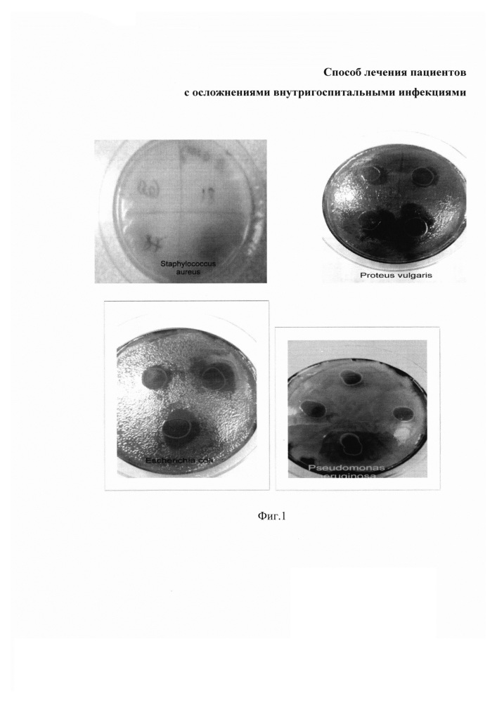 Способ лечения пациентов с осложнениями внутригоспитальными инфекциями (патент 2665170)