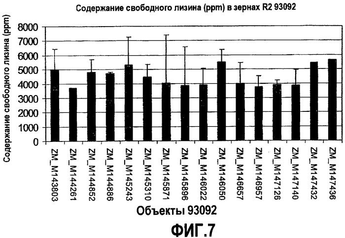 Семена трансгенных растений с повышенным содержанием лизина (патент 2460281)