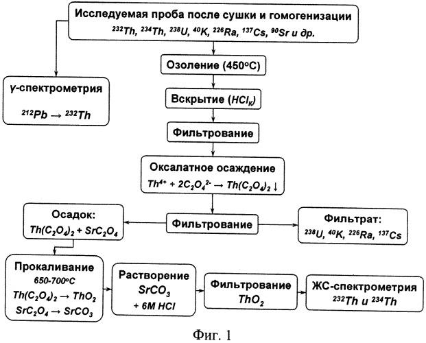 Способ определения концентрации тория-234 в морских донных отложениях (патент 2541450)