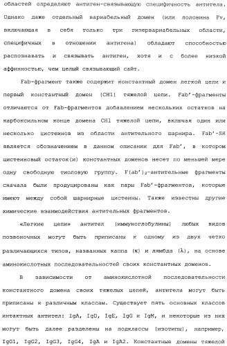 Способ лечения волчанки (патент 2396980)
