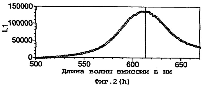 Рекомбинантная термостабильная люцифераза, способ ее получения, изолированная нуклеиновая кислота, экспрессирующий вектор, набор для использования в биолюминесцентном анализе, аналитический тест для определения присутствия в образце соа (патент 2251571)