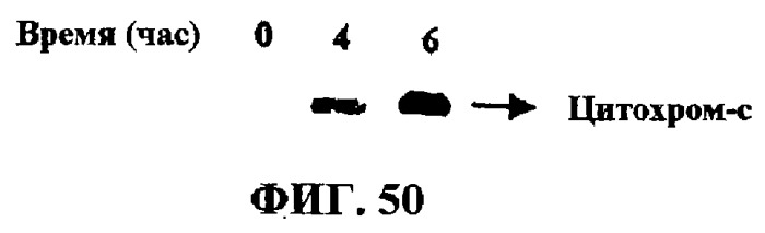 Тритерпеновые композиции и способы их применения (патент 2244547)