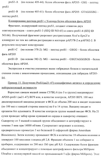 Вирусоподобные частицы, включающие гибридный белок белка оболочки бактериофага ар205 и антигенного полипептида (патент 2409667)