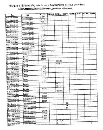 Гены corynebacterium glutamicum, кодирующие белки, участвующие в метаболизме углерода и продуцировании энергии (патент 2321634)