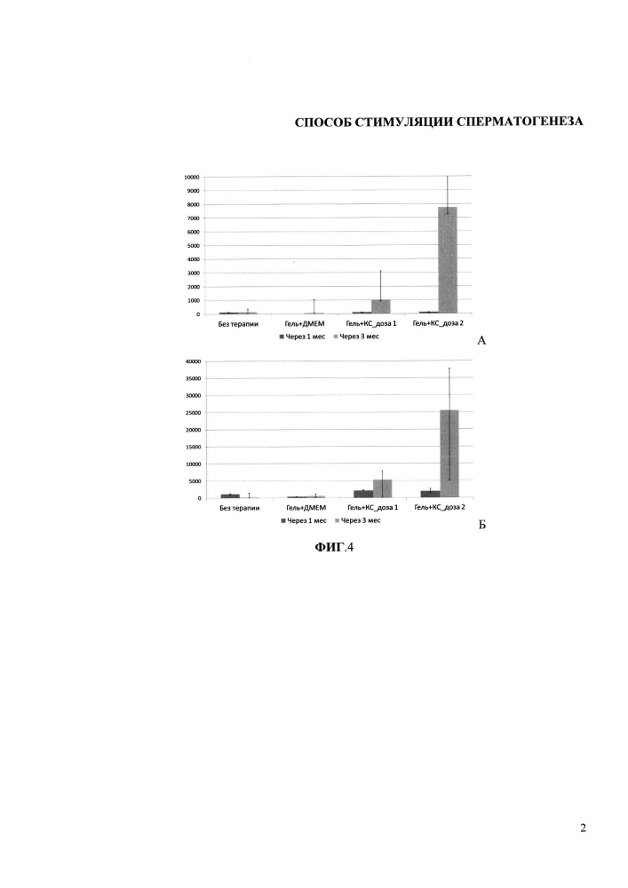Способ стимуляции сперматогенеза (патент 2652902)