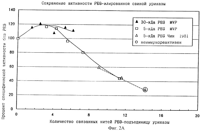 Конъюгаты peg-уриказы и их использование (патент 2246318)