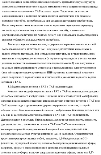 Композиции и способы диагностики и лечения опухоли (патент 2430112)