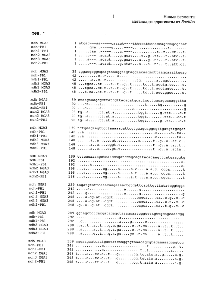 Новые ферменты метанолдегидрогеназы из bacillus (патент 2624017)