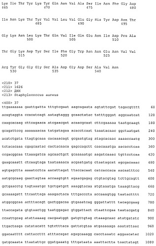 Иммуногенные композиции антигенов staphylococcus aureus (патент 2536981)