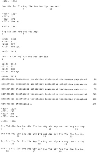 Pscaxcd3, cd19xcd3, c-metxcd3, эндосиалинxcd3, epcamxcd3, igf-1rxcd3 или fap-альфаxcd3 биспецифическое одноцепочечное антитело с межвидовой специфичностью (патент 2547600)