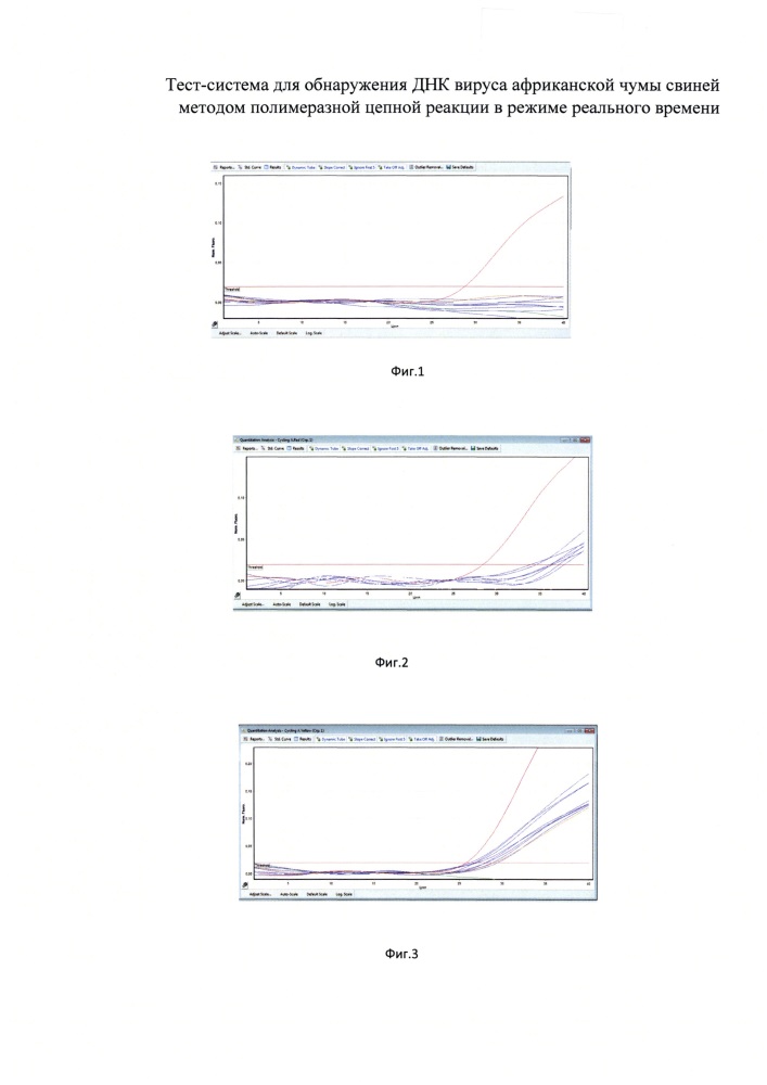 Тест-система для обнаружения днк вируса африканской чумы свиней с помощью полимеразной цепной реакции в режиме реального времени (патент 2645263)