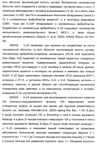 Антитела к il-22 человека и их применение (патент 2467016)