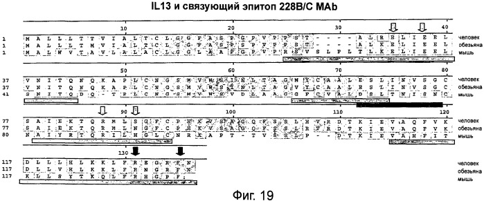 Новые анти-il 13 антитела и их использование (патент 2487887)