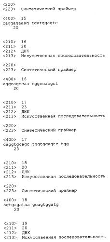 Трансгенные копытные животные, имеющие пониженную активность прионного белка, и их применения (патент 2384059)