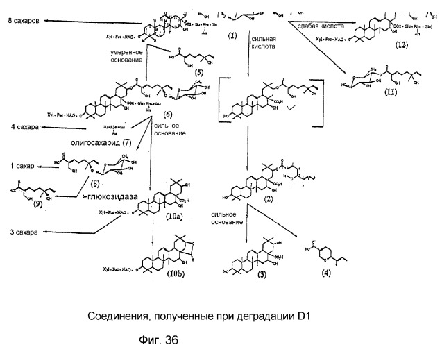 Ингибирование nf- b композициями тритерпенов (патент 2288706)