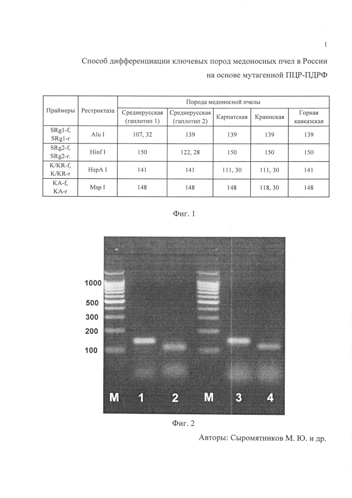Способ дифференциации ключевых пород медоносных пчел в россии на основе мутагенной пцр-пдрф (патент 2653435)