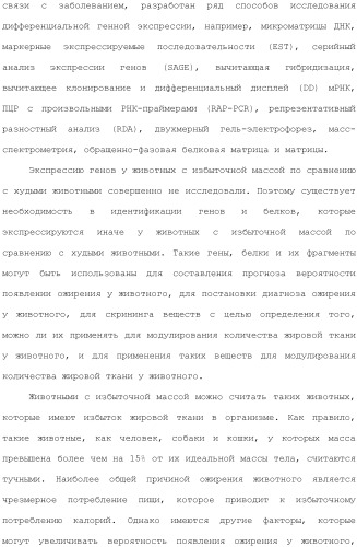 Композиции и способы лечения расстройств, ассоциированных с избыточной массой животных (патент 2492698)