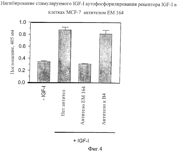 Антитела к рецептору igf-i (патент 2421465)