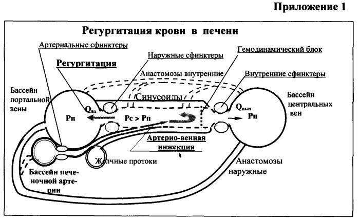 Способ и устройство для оценки гемодинамики печени (патент 2372022)