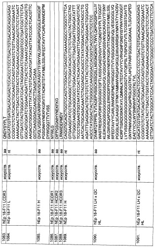 Pscaxcd3, cd19xcd3, c-metxcd3, эндосиалинxcd3, epcamxcd3, igf-1rxcd3 или fap-альфаxcd3 биспецифическое одноцепочечное антитело с межвидовой специфичностью (патент 2547600)