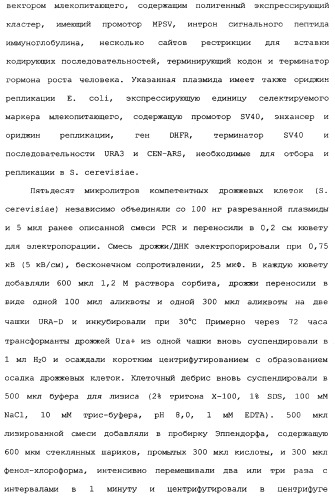 Новый лиганд рецептора цитокина zcytor17 (патент 2360923)