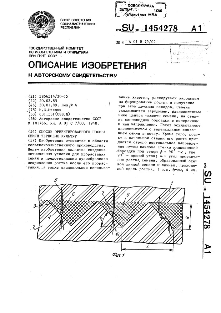 Способ ориентированного посева семян зерновых культур (патент 1454278)