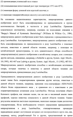 Микроорганизмы, ингибирующие образование неприятного подмышечного запаха (патент 2459864)