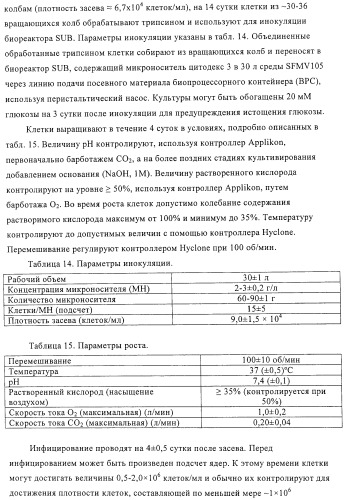 Линии клеток почки собаки майдин-дэрби (mdck), поддерживающие рост вирусов до высоких титров, и способ применения этих клеток в биореакторе (патент 2487935)