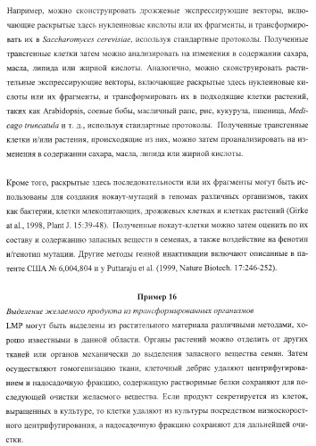 Молекулы нуклеиновых кислот, кодирующие wrinkled1-подобные полипептиды, и способы их применения в растениях (патент 2385347)