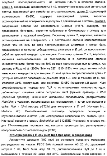 Нейссериальные вакцинные композиции, содержащие комбинацию антигенов (патент 2494758)