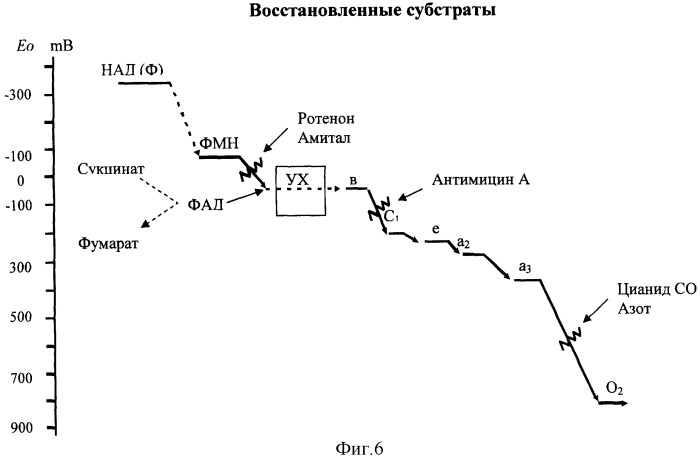 Средство, обладающее антиоксидантной и противовирусной активностями (патент 2244546)