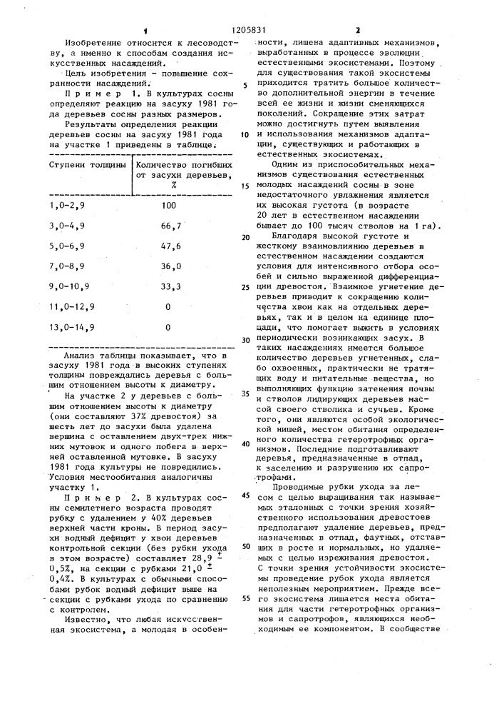 Способ создания искусственных насаждений сосны (патент 1205831)