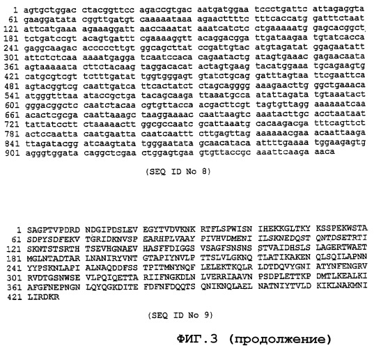 Экспрессирующая система (патент 2385348)