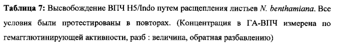 Способ получения белков растительного происхождения (патент 2567012)