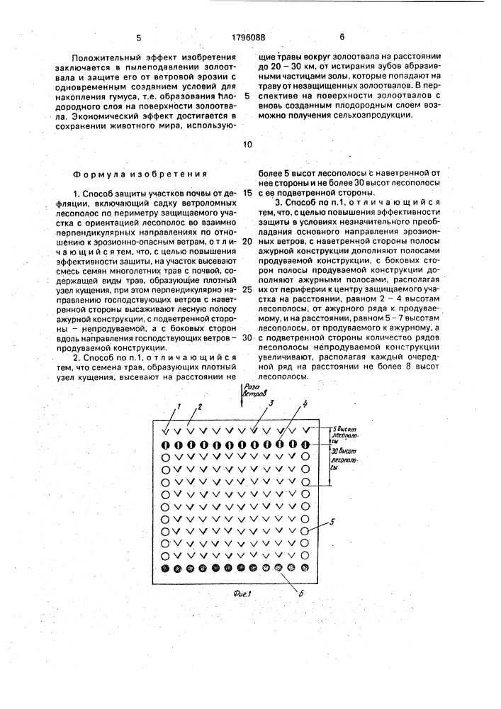 Способ защиты участков почвы от дефляции (патент 1796088)