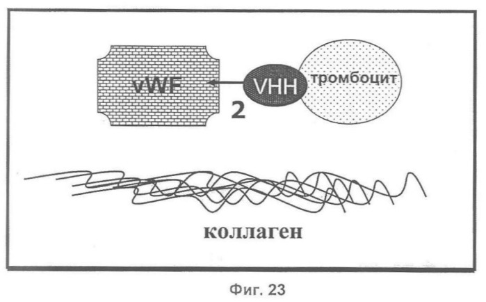 Терапевтические полипептиды, их гомологи, их фрагменты и их применение для модуляции агрегации, опосредованной тромбоцитами (патент 2357974)