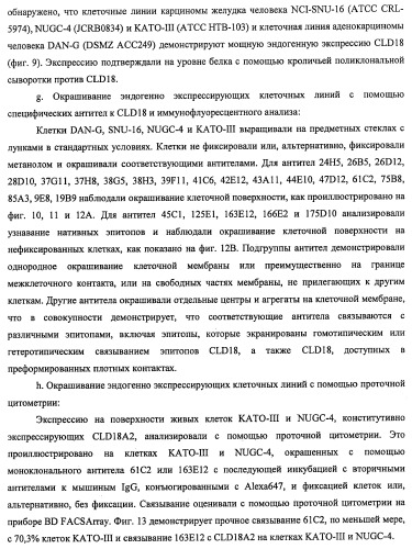 Моноклональные антитела к клаудину-18 для лечения рака (патент 2445319)