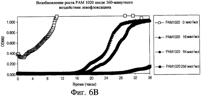 Аэрозольные фторхинолоны и их применения (патент 2428986)