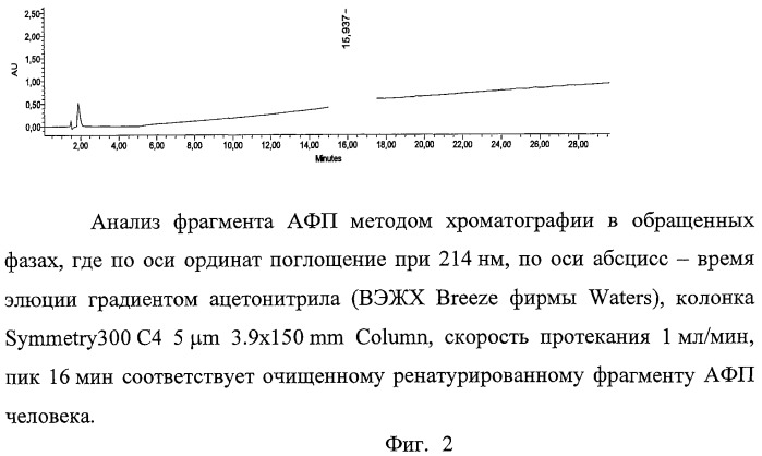 Способ получения активного фрагмента альфа-фетопротеина человека (патент 2448116)