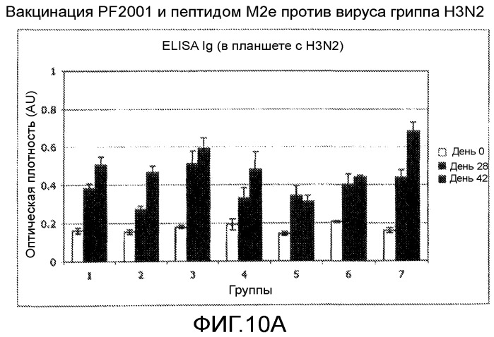Иммуногенные композиции и способы (патент 2468034)