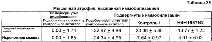 Антитела против gdf8 человека (патент 2567805)